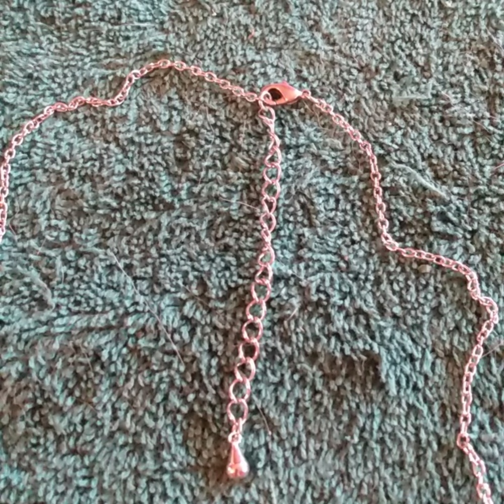 6/$20 Necklaces - Picture 7 of 8